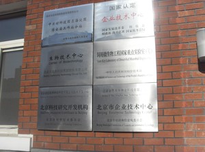 北京大北科技集团