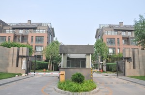 案例
